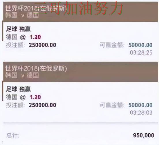 世界杯买球平台推荐是否值得用？真实体验带你了解（世界杯官方信息）
